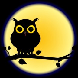 night-owl.jpg